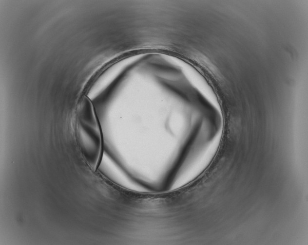 X0000113321268200910131121