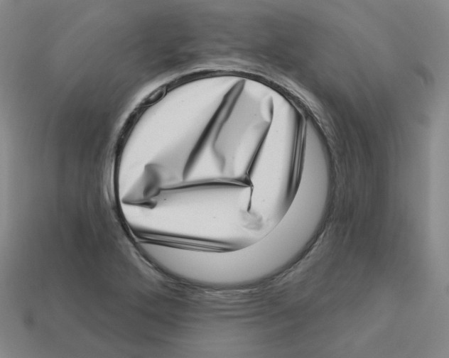 X0000113321272200910131121