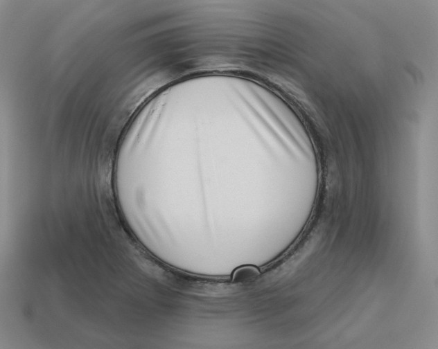 X0000113321273200910131121