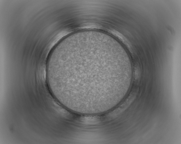 X0000113321274200910131121