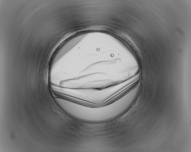 X0000113321276200910131120