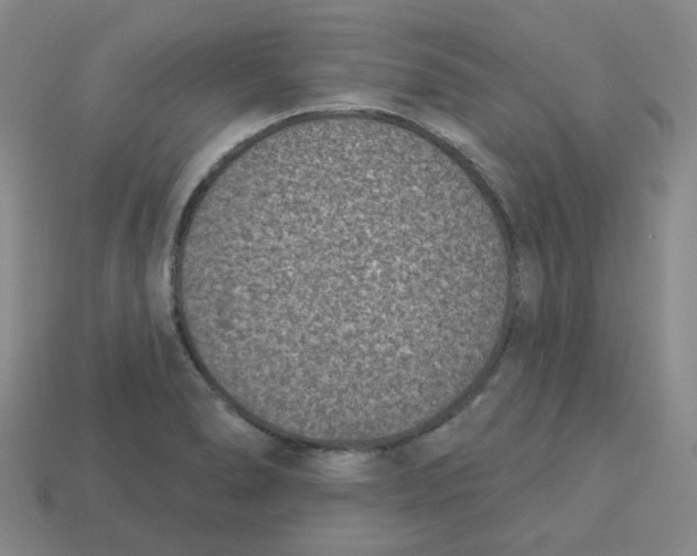 X0000113321278200910131120