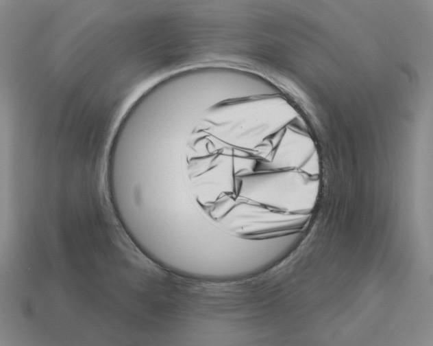 X0000113321280200910131120