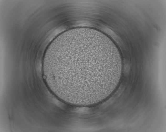 X0000113321282200910131120