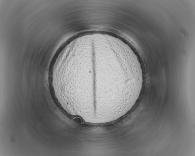 X0000113321283200910131120