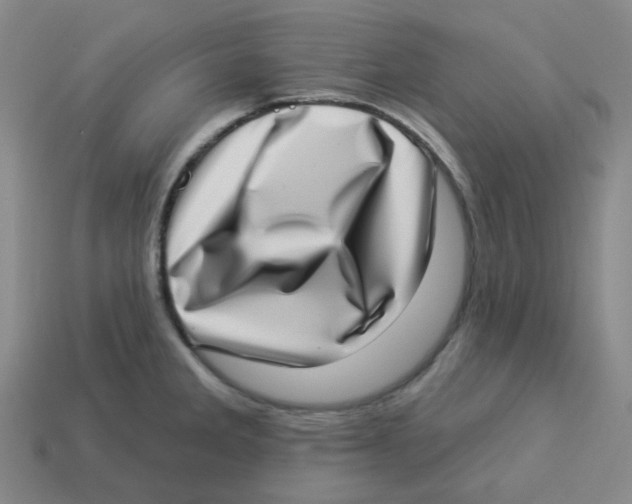 X0000113321285200910131120