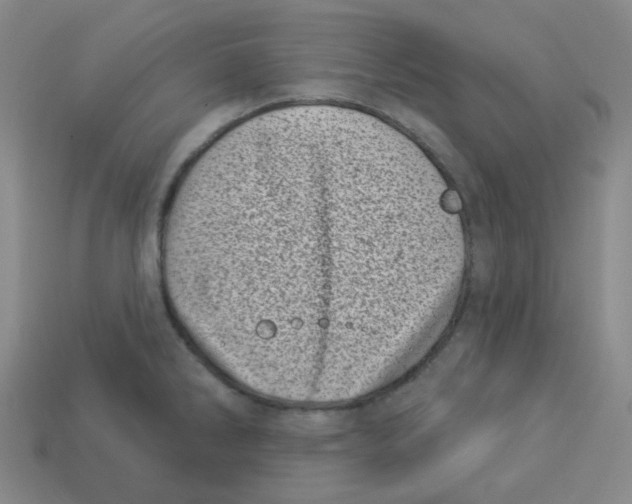 X0000113321286200910131120