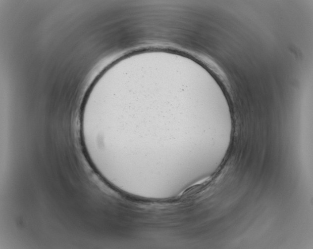 X0000113321287200910131120