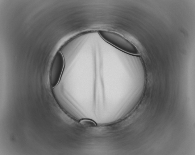 X0000113321288200910131120