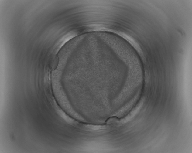 X0000113321289200910131120