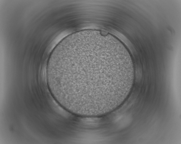 X0000113321290200910131120