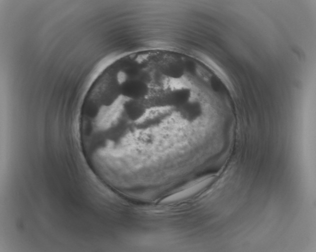 X0000113321291200910131120