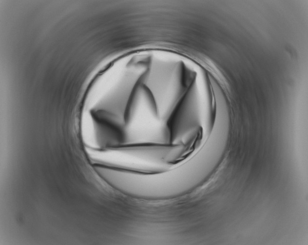 X0000113321292200910131120