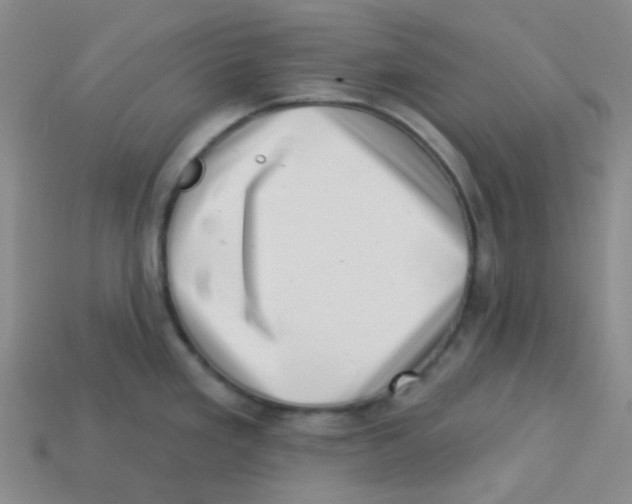 X0000113321293200910131120