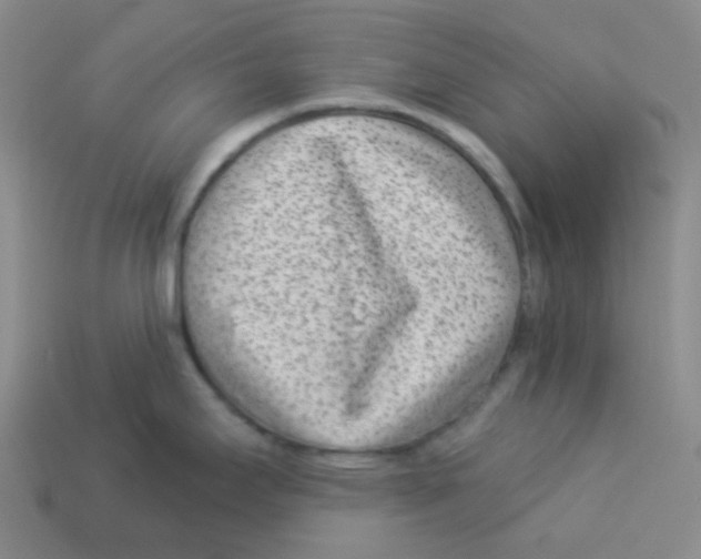 X0000113321295200910131120