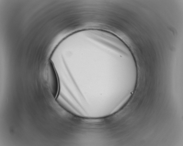 X0000113321296200910131120