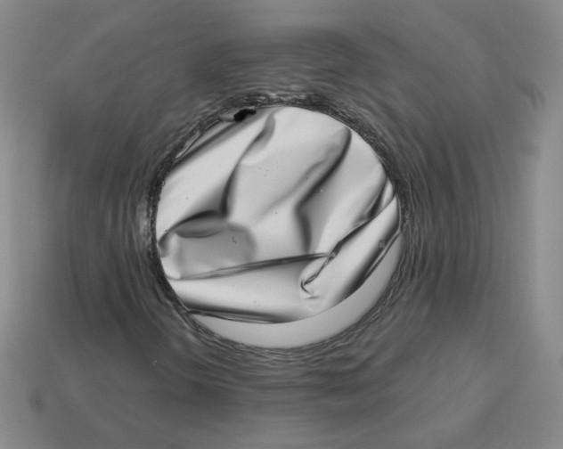 X0000113321298200910131120