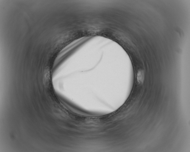 X0000113321299200910131120