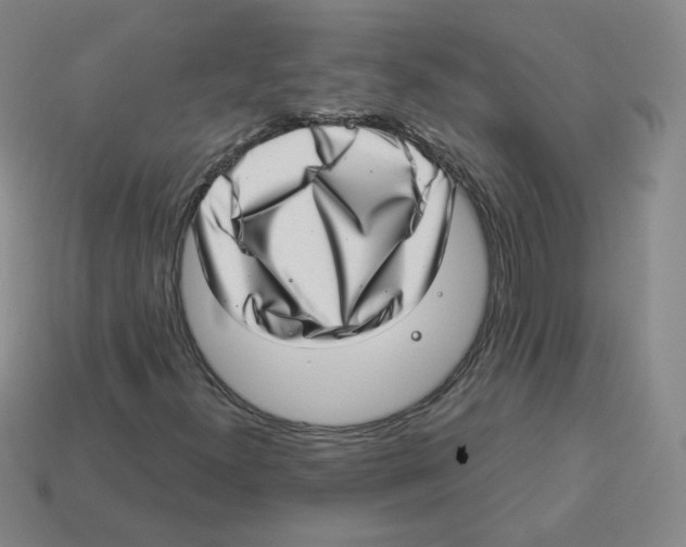 X0000113321300200910131120