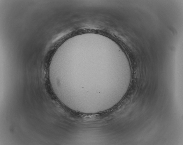 X0000113321303200910131120