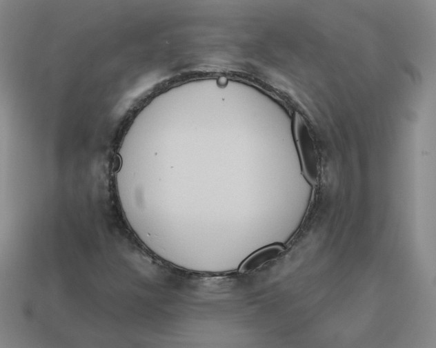 X0000113321304200910131120