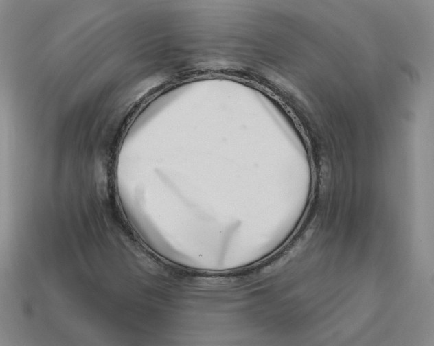 X0000113321305200910131120