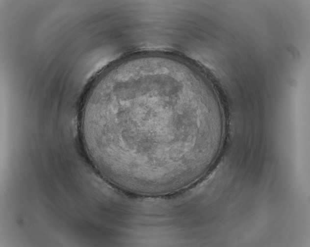 X0000113321306200910131120