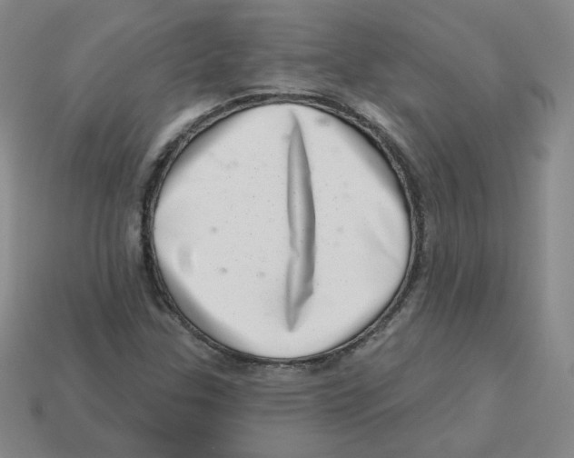 X0000113321307200910131120