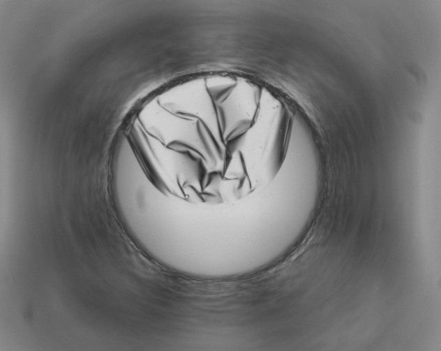 X0000113321308200910131120