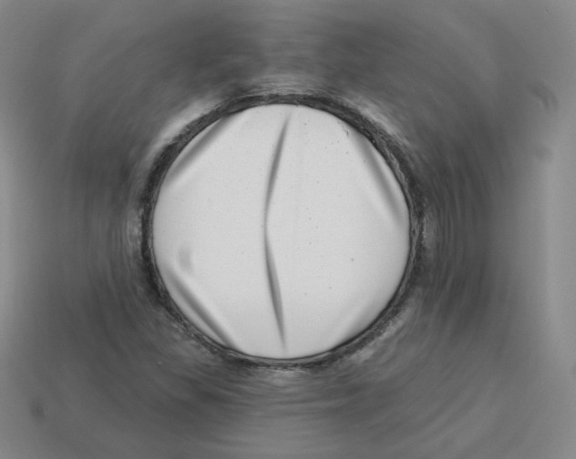 X0000113321309200910131120