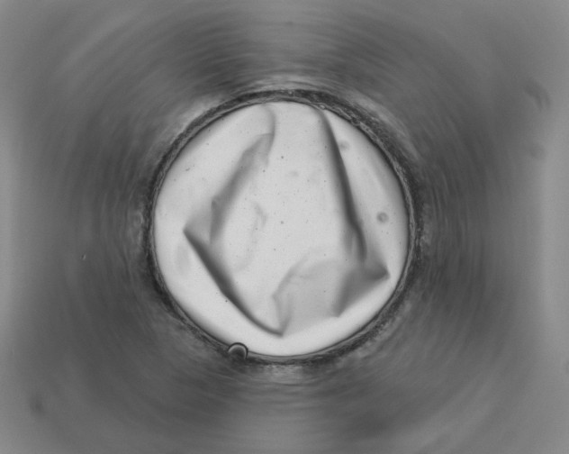 X0000113321313200910131120