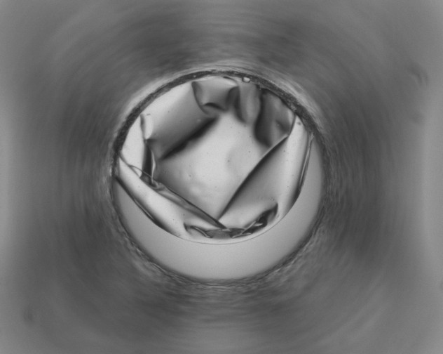 X0000113321316200910131120