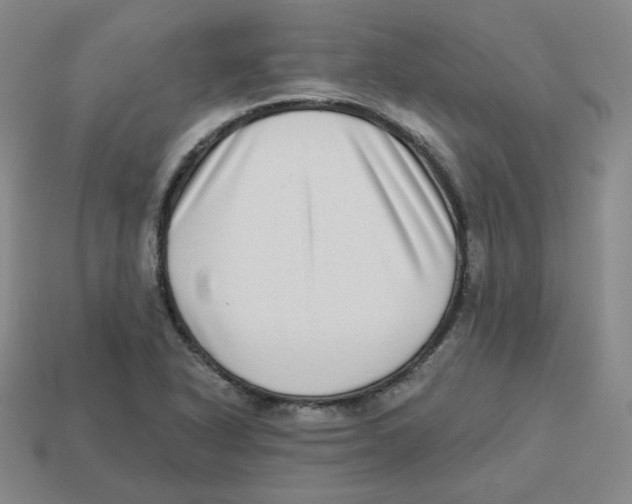 X0000113321318200910131120