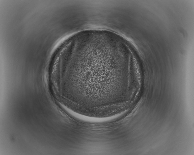 X0000113321319200910131120