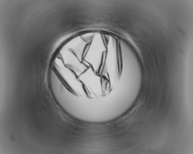 X0000113321320200910131120