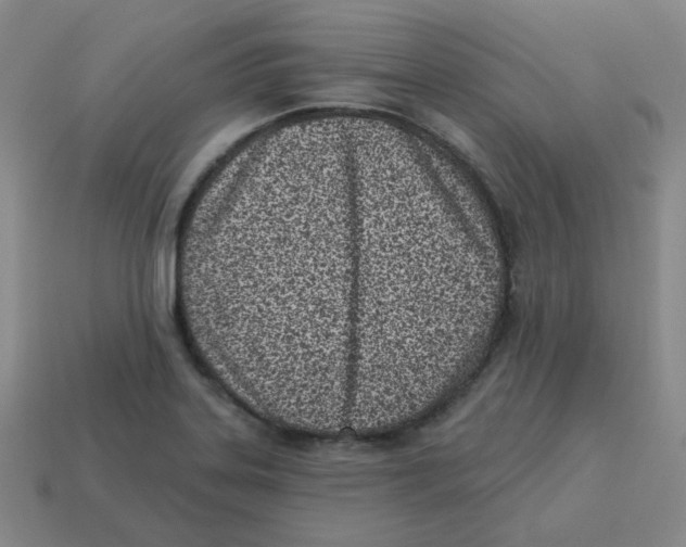 X0000113321323200910131120