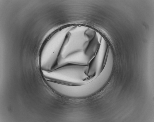 X0000113321324200910131120