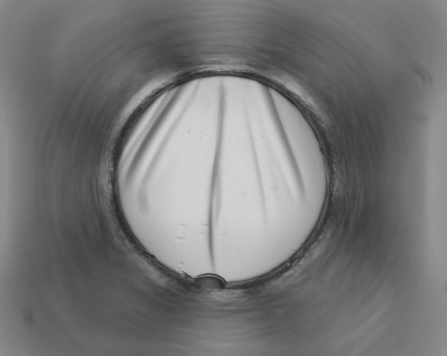 X0000113321325200910131120