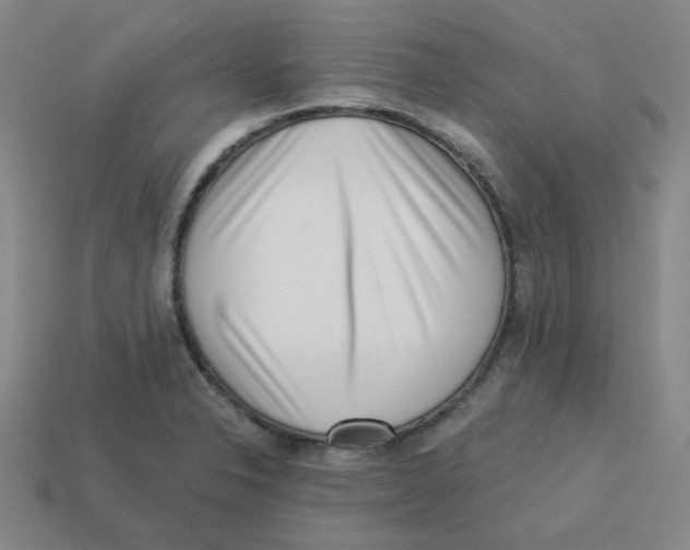 X0000113321326200910131120