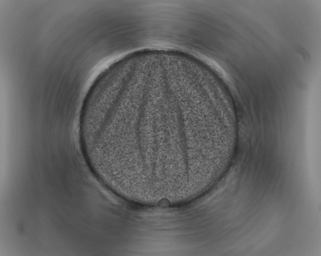 X0000113321327200910131120