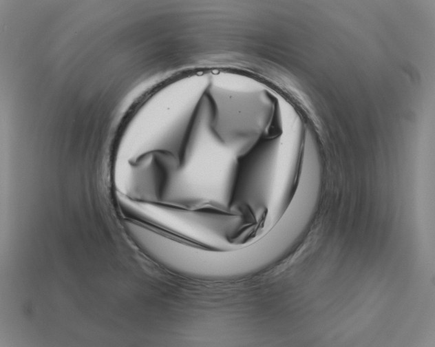 X0000113321328200910131120