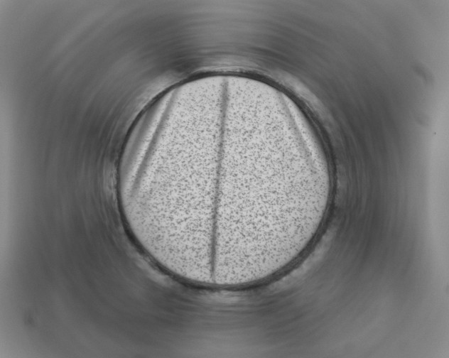 X0000113321329200910131120