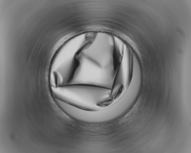 X0000113321330200910131120