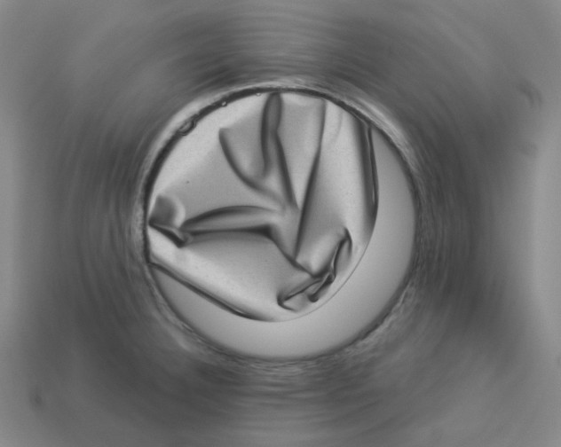 X0000113321332200910131120