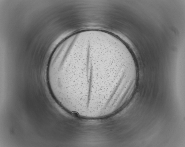 X0000113321333200910131120