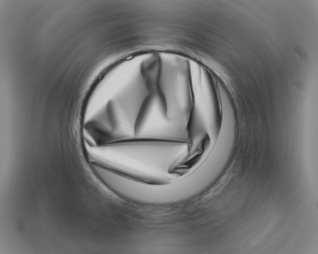 X0000113321334200910131120