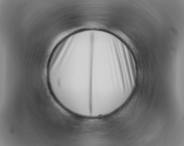 X0000113321335200910131120