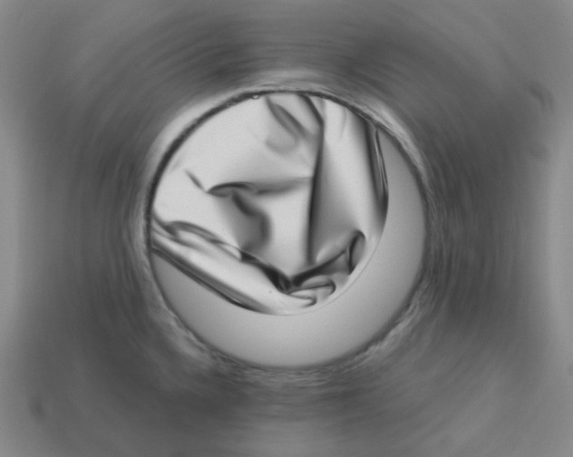 X0000113321336200910131120