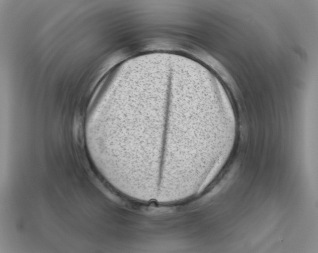 X0000113321337200910131120