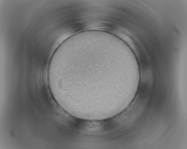 X0000113321338200910131120